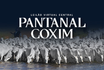 LEILÃO VIRTUAL CENTRAL PANTANAL COXIM